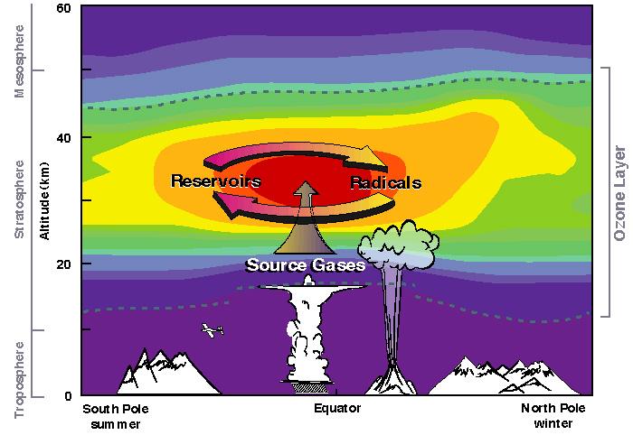 ozone rebalance